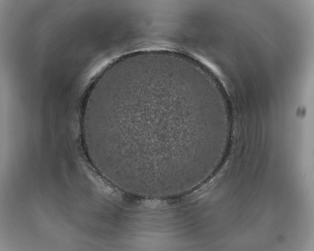 X0000090441407200707201244