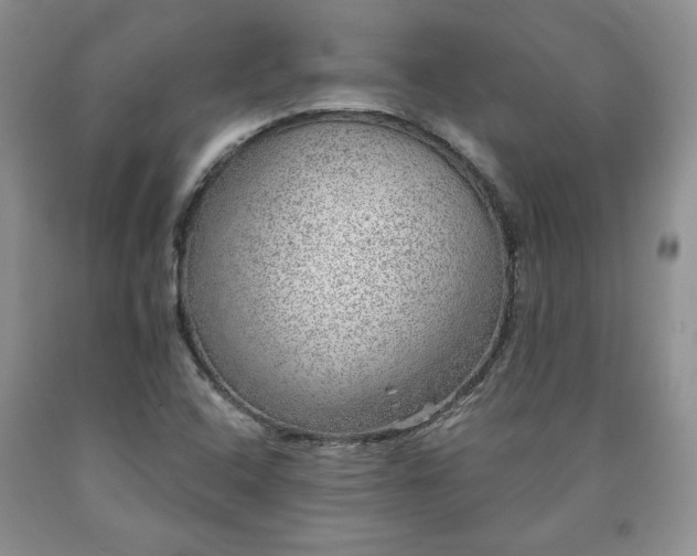 X0000090441408200707201244