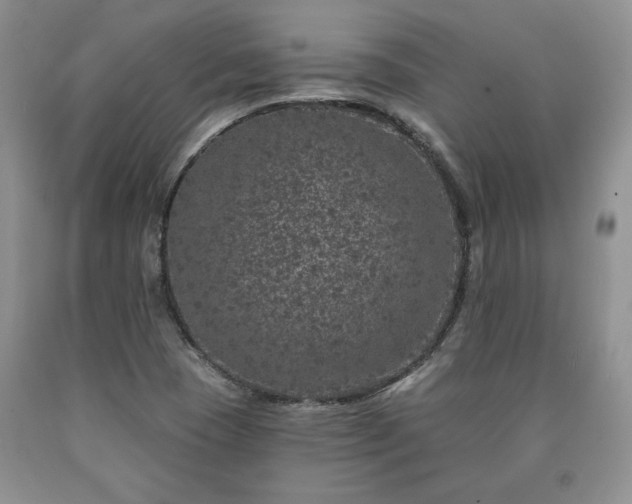 X0000090441409200707201244