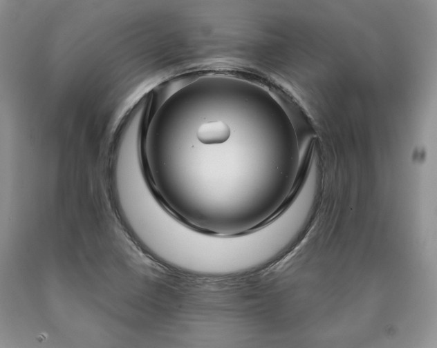 X0000090441410200707201244