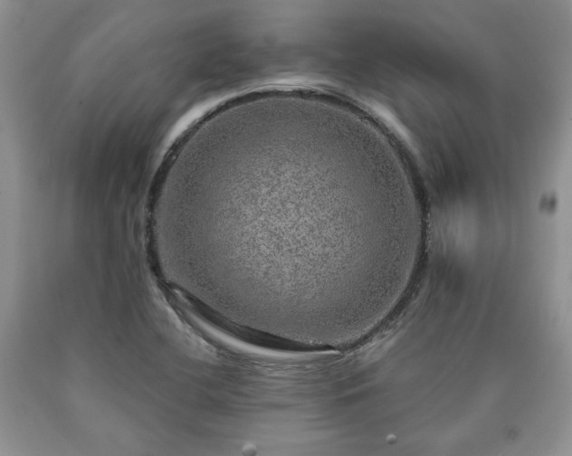 X0000090441412200707201244