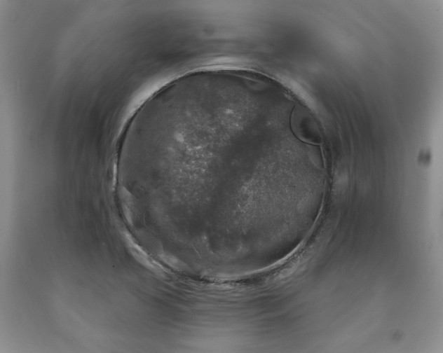 X0000090441413200707201244