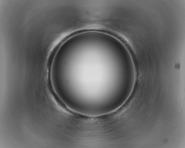 X0000090441414200707201244