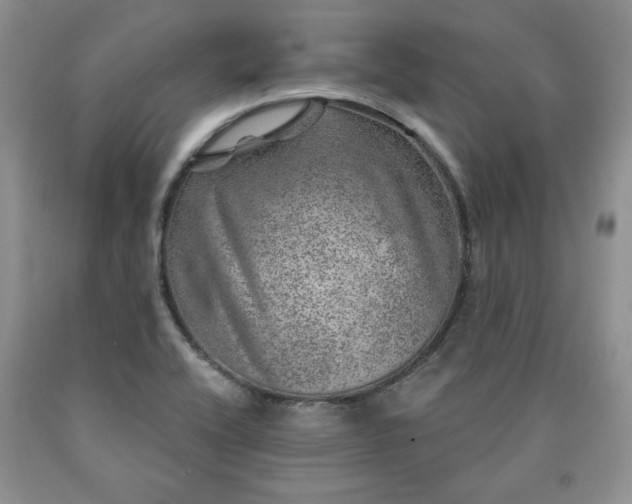 X0000090441416200707201244