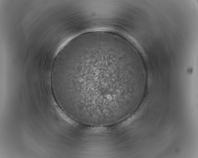 X0000090441417200707201244