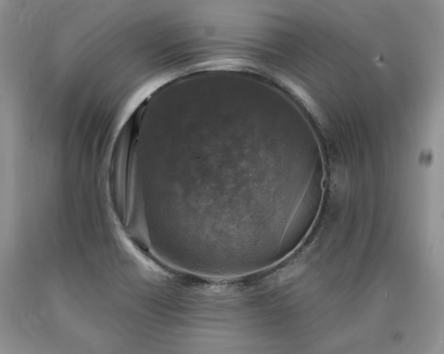 X0000090441418200707201244