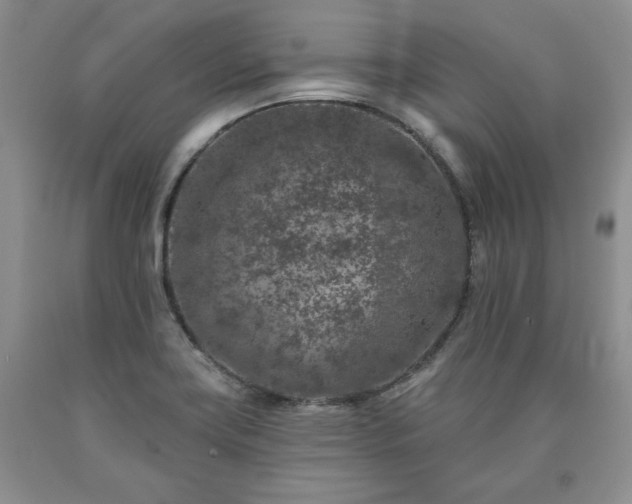 X0000090441419200707201244