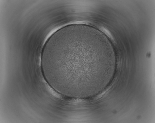 X0000090441420200707201244