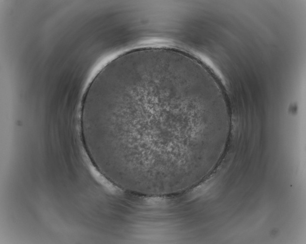 X0000090441421200707201244