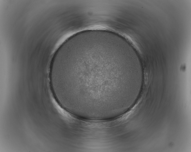 X0000090441422200707201244