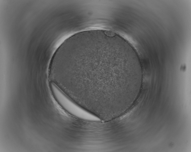 X0000090441423200707201244