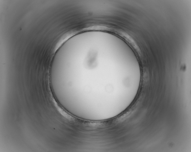 X0000090441425200707201244