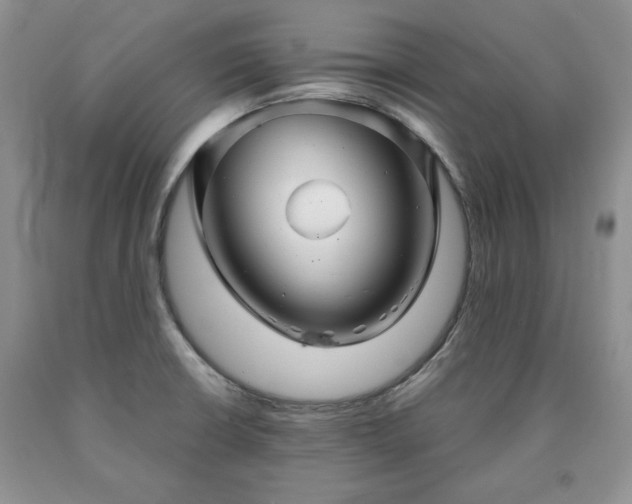 X0000090441426200707201244