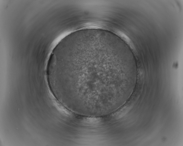 X0000090441427200707201244