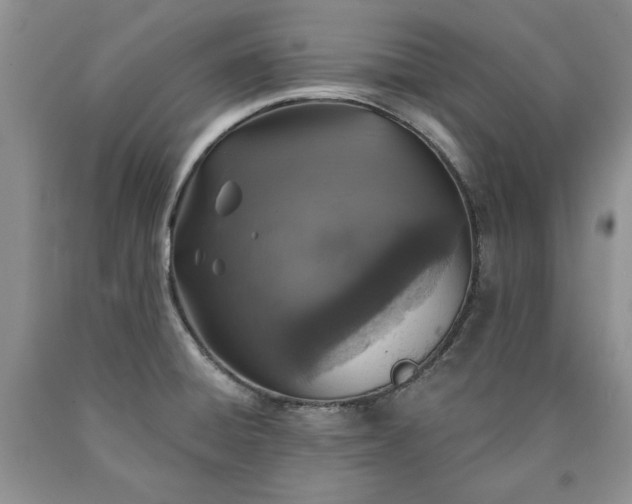 X0000090441428200707201244