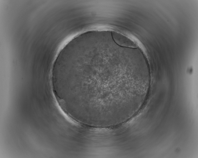 X0000090441429200707201244