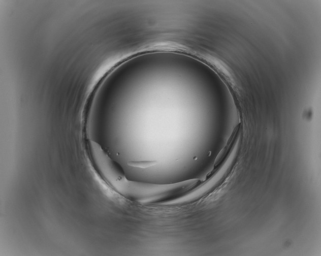 X0000090441430200707201244