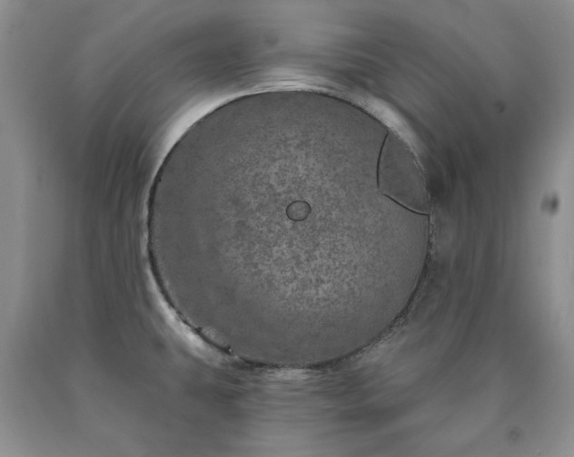 X0000090441431200707201244