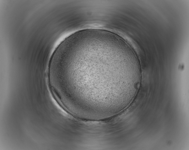 X0000090441432200707201244