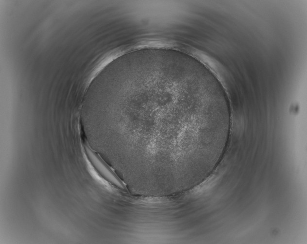 X0000090441433200707201244