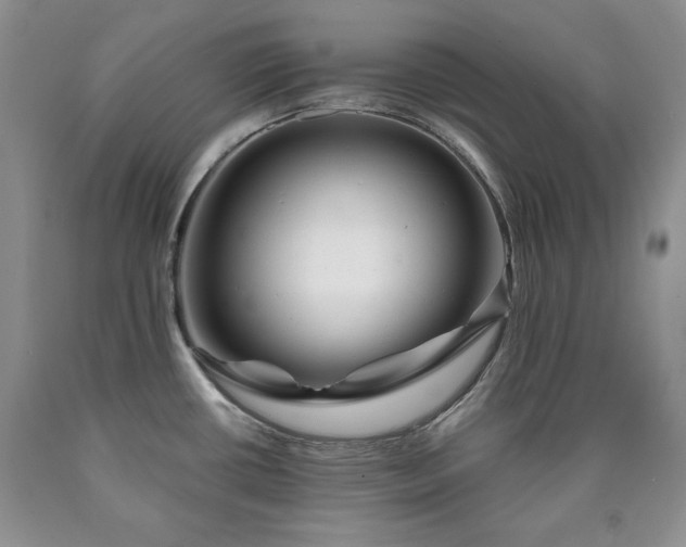 X0000090441434200707201244