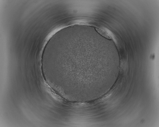 X0000090441435200707201244