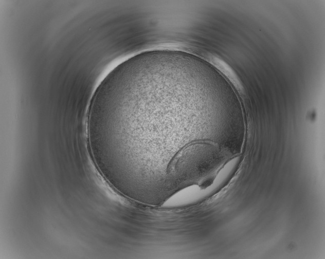 X0000090441436200707201244