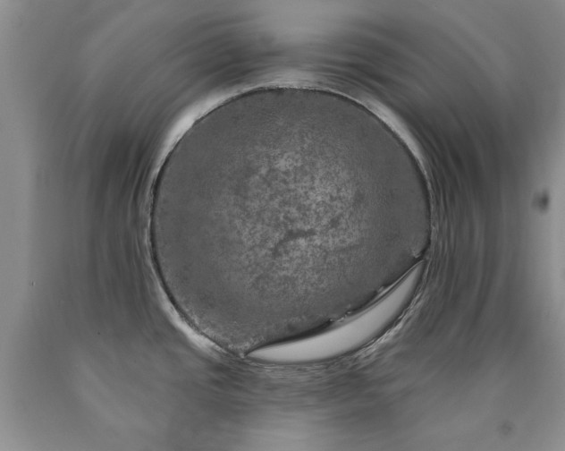 X0000090441437200707201244