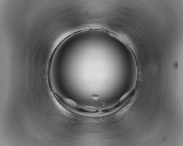 X0000090441438200707201244