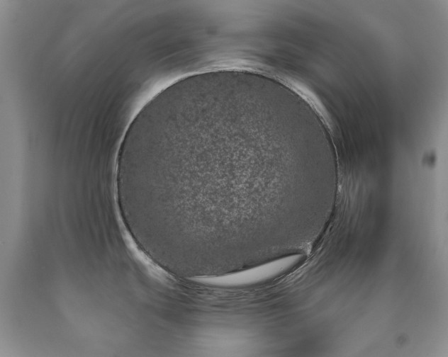 X0000090441439200707201244