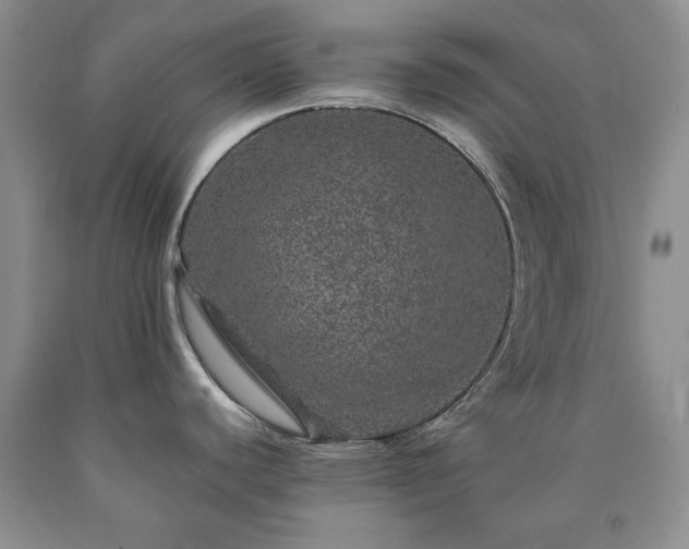 X0000090441440200707201244