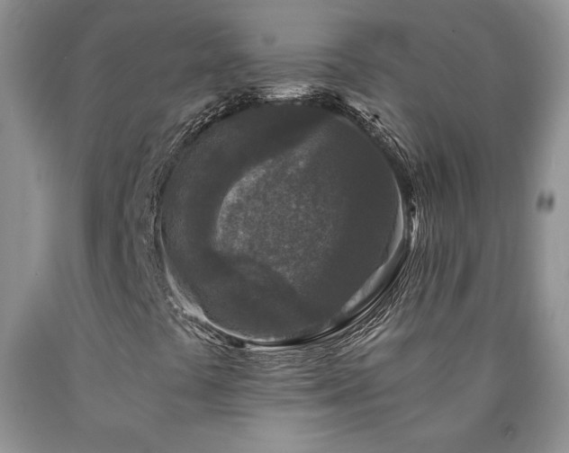 X0000090441441200707201243