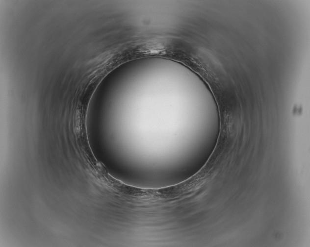 X0000090441442200707201243