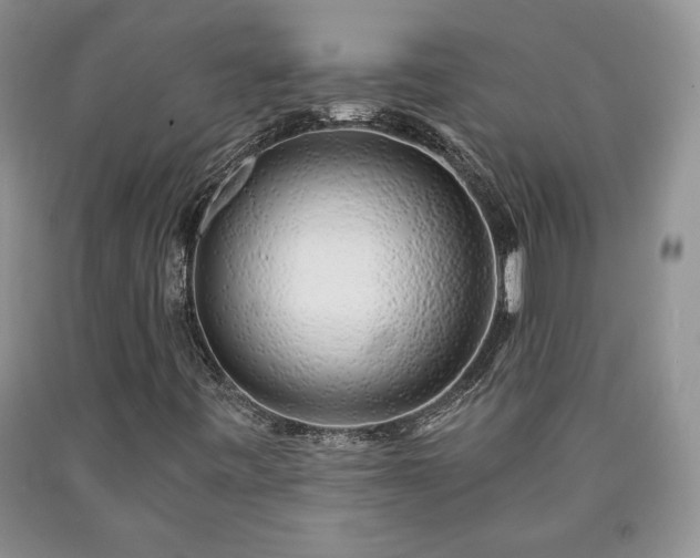 X0000090441443200707201243