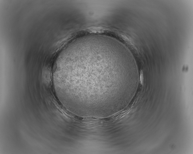 X0000090441444200707201243