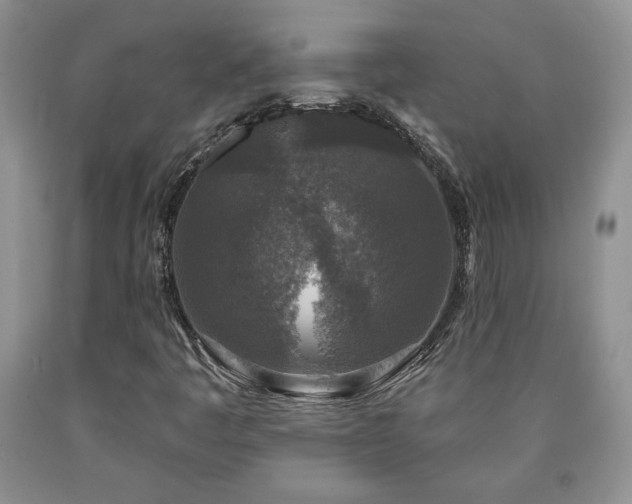 X0000090441445200707201243