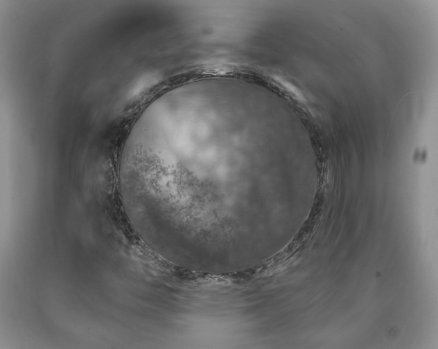 X0000090441446200707201243