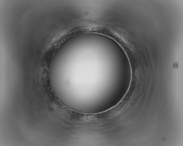 X0000090441447200707201243