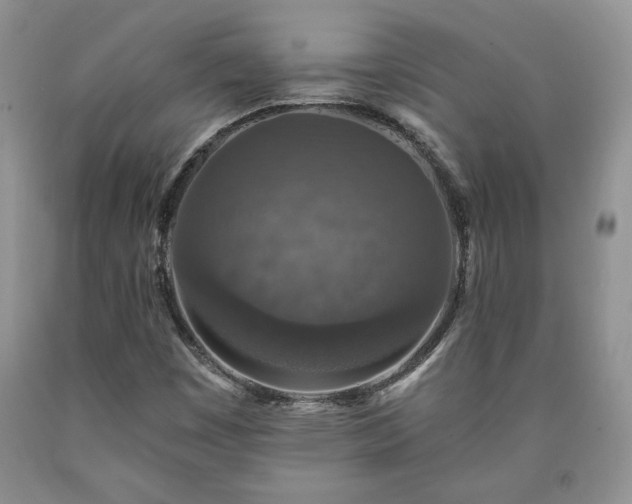 X0000090441449200707201243