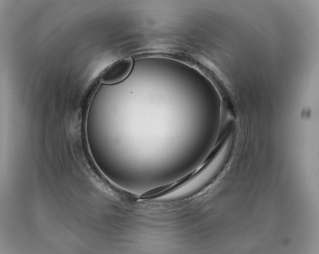 X0000090441450200707201243