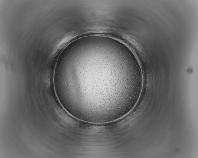 X0000090441451200707201243