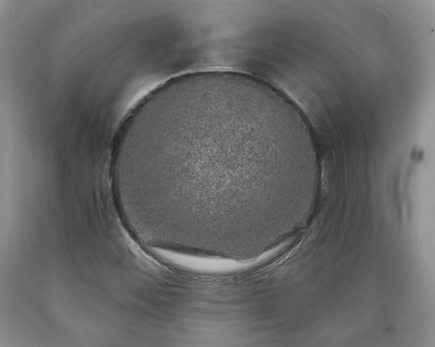 X0000090441452200707201243