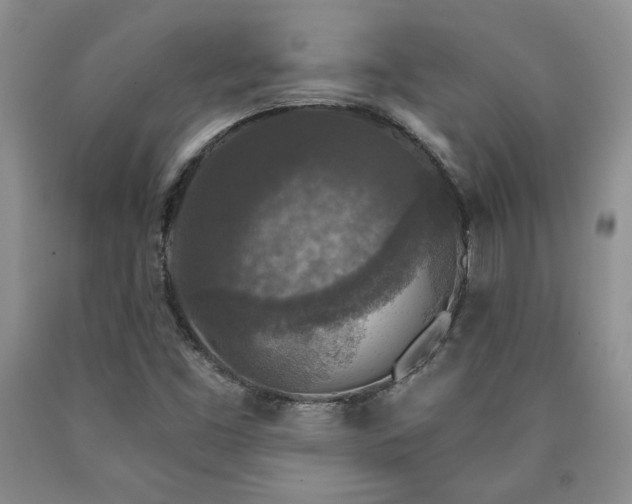 X0000090441453200707201243