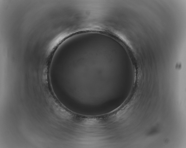 X0000090441455200707201243