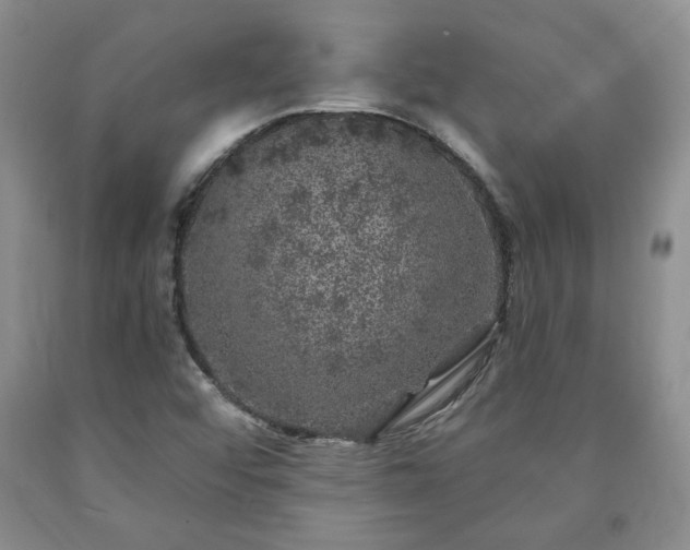 X0000090441456200707201243