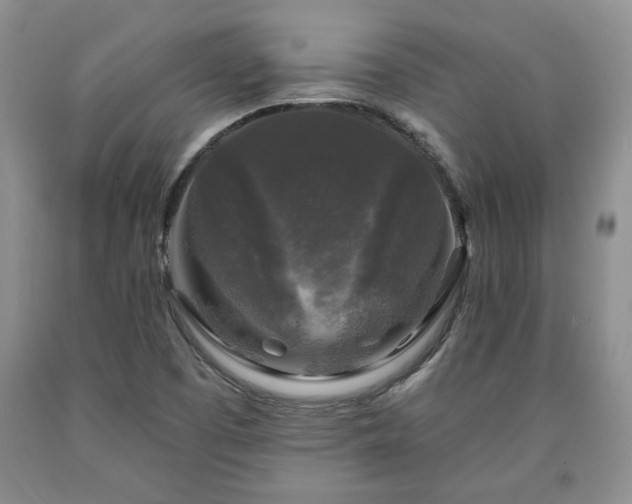 X0000090441457200707201243