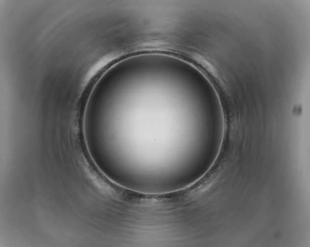 X0000090441458200707201243