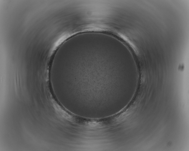 X0000090441459200707201243