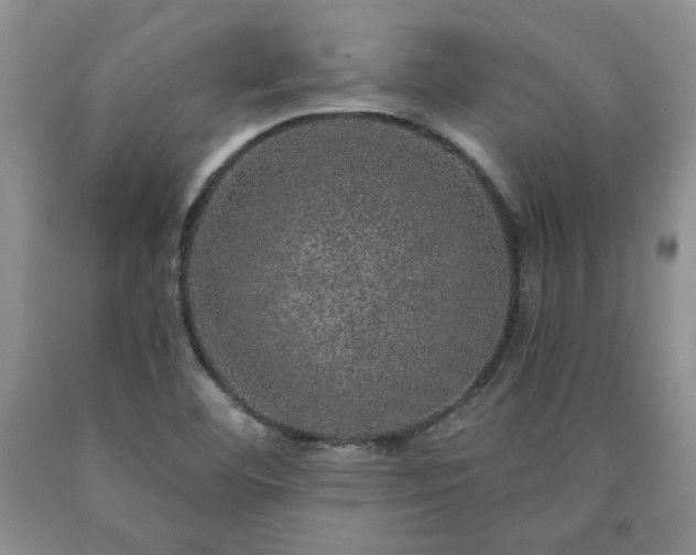 X0000090441460200707201243