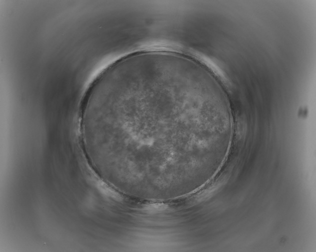 X0000090441462200707201243